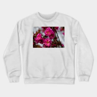 Artistic Cherry Blossom in Spring Crewneck Sweatshirt